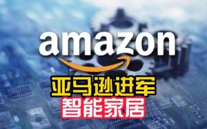 亚马逊中东站入驻要求有哪些？-趣丸网
