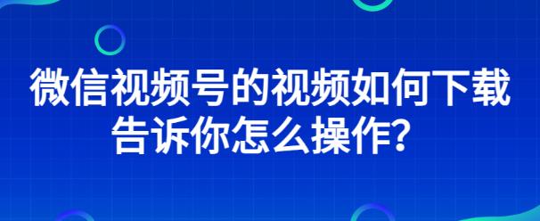 视频号的视频怎样下载(河马助手轻松帮你解决)-趣丸网