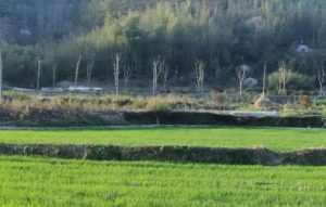 农村创业项目有哪些？-趣丸网