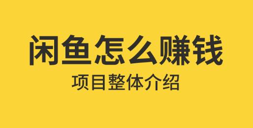 闲鱼赚钱项目，一单纯利润 200-300，附教程-趣丸网