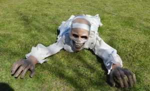 喜剧鬼片10部推荐！-趣丸网