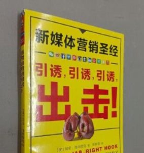 新媒体营销圣经，彻底颠覆新媒体传播方式。-趣丸网