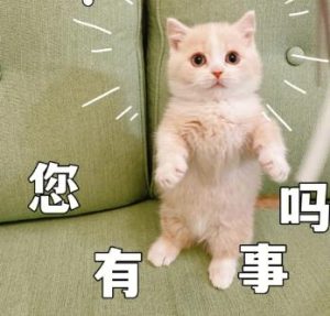 微信怎么制作表情包赚钱流程看这里！-趣丸网