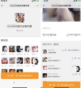 付费进群源码，功能全面，绝不含半点虚假！-趣丸网