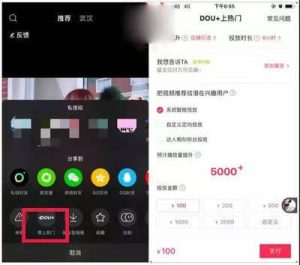 如何通过“Dou+推广”快速提升品牌曝光度和用户转化率-趣丸网