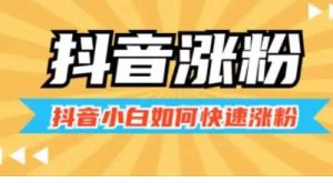 如何快速涨到1000粉,让你的账号一飞冲天!-趣丸网