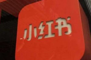 小红书业务的崛起：如何通过短视频与内容电商变革市场？-趣丸网