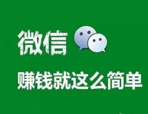 加导师微信赚钱是真的吗？揭秘背后的真相与机会-趣丸网