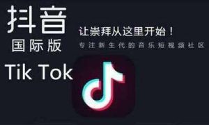 TikTok国际完整版——全球社交新潮流，开启你的精彩人生-趣丸网