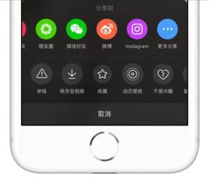 苹果15收不到抖音通知?教你快速解决,让你不错过每一条精彩内容!-趣丸网