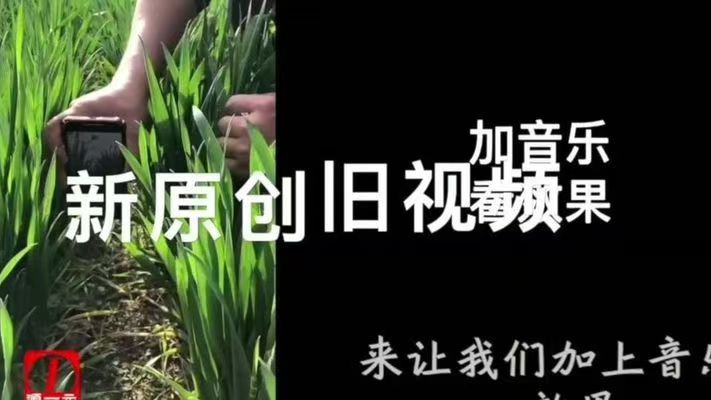 如何搬运别人的视频并打造属于自己的原创内容？