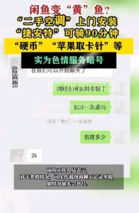 2024闲鱼外围暗号——揭秘隐藏在二手市场背后的“黄金机会”-趣丸网