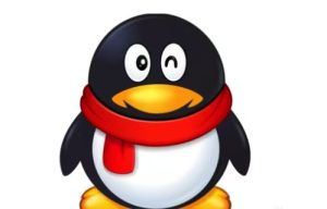 QQ刷会员永久免费网站——畅享无限特权，轻松升级你的QQ体验！-趣丸网