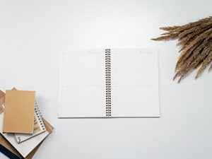 只需0.1元,100个赞秒到!如何快速提升社交媒体影响力-趣丸网