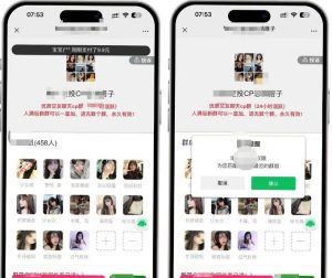 付费进群系统源码(付费入群系统)-趣丸网