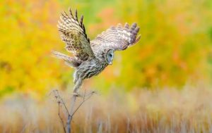 kanye（侃爷妻子穿搭图片高清大图未删减版在线观看）新鲜出炉-趣丸网