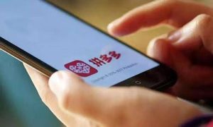 国家为什么不打掉拼多多？-趣丸网