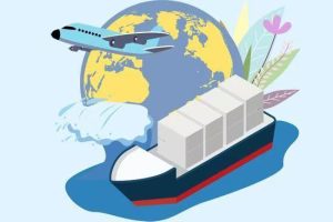 跨境电商怎么入行？从零开始的完整指南-趣丸网