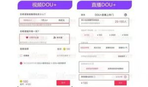 Dou+推广怎么计算费用?一文了解如何更高效利用Dou+推广-趣丸网