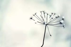 PDD助力要邀请多少人？让我们一起走向成功！-趣丸网